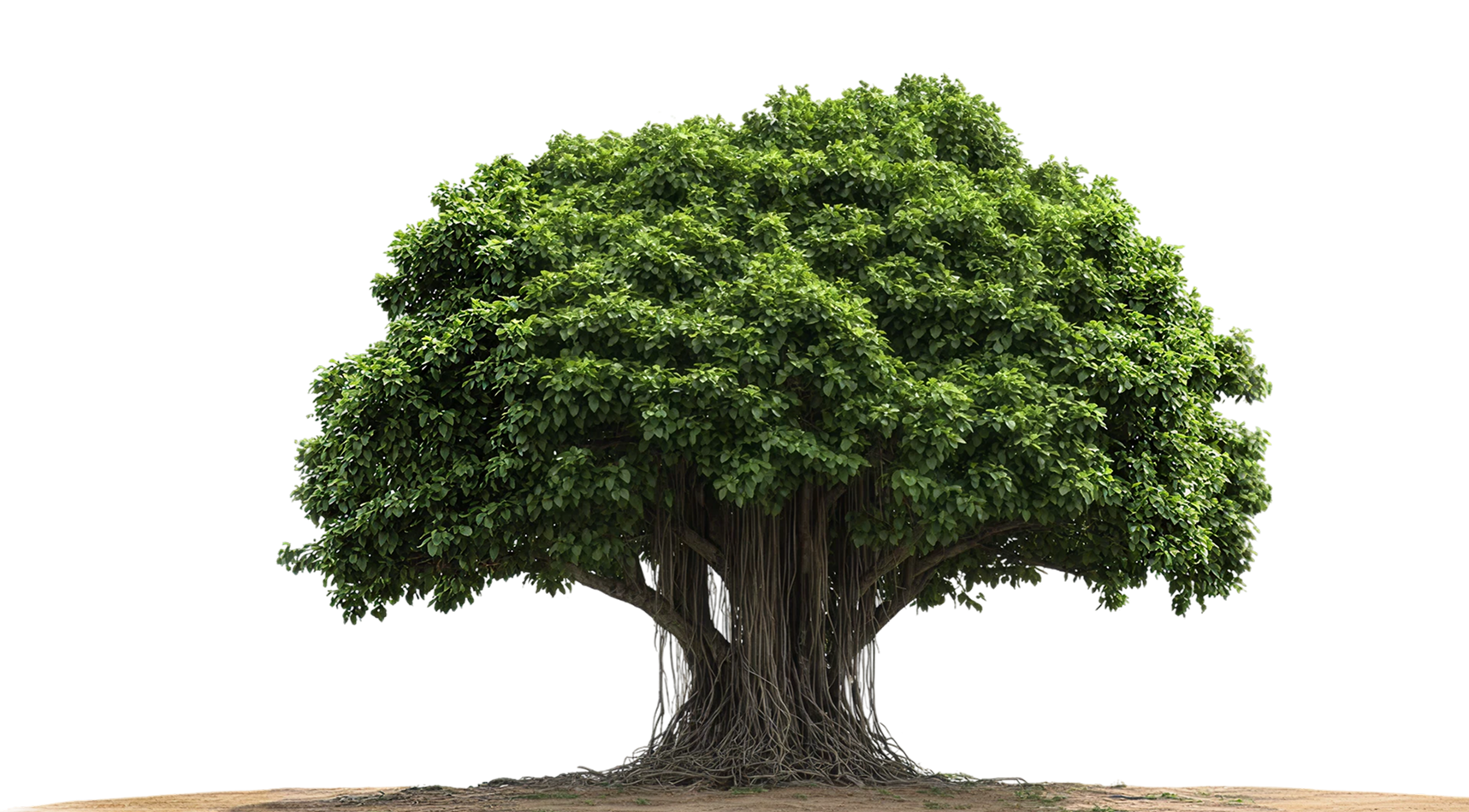 A grown tree with status indicators